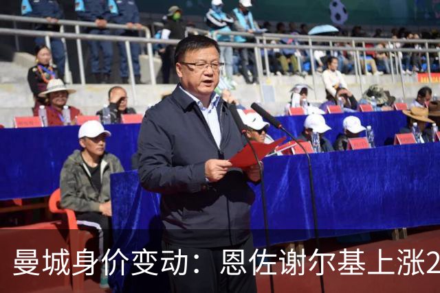 曼城身价变动：恩佐谢尔基上涨2000万欧，安德森涨1000万欧